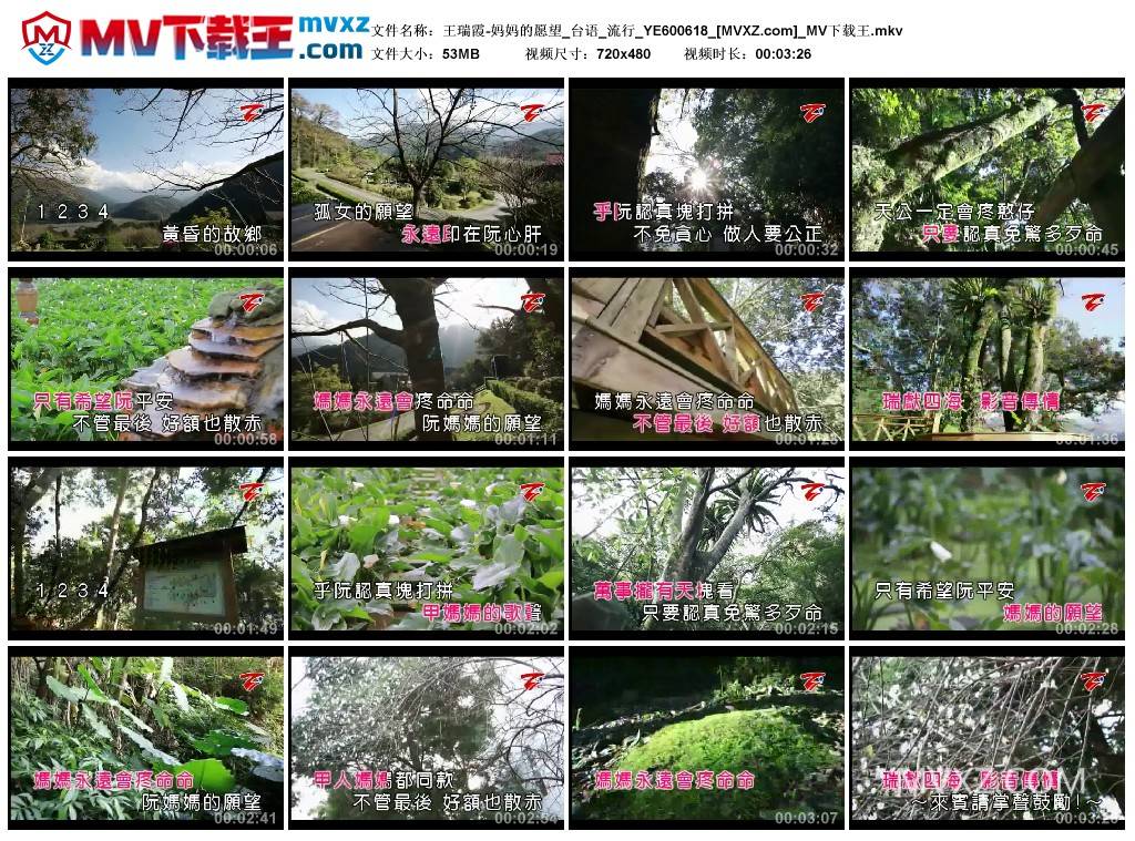 王瑞霞-妈妈的愿望_台语_流行_YE600618